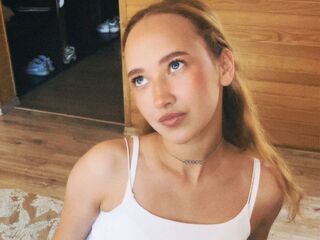 live-chat VeniceMidden